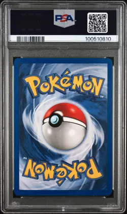 Misty's Gyarados 13/132 Holo Rare Gym Challenge 2000 Pokemon English PSA 8 - Image 2