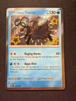 Pokemon TCG Paldean Tauros 120/091 – Paldean Fates – Baby Shiny – NM - Image 2