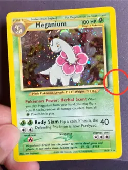 Meganium Holo 2000 Neo Genesis Set Pokemon Card 10/111 Raw MP - Image 4