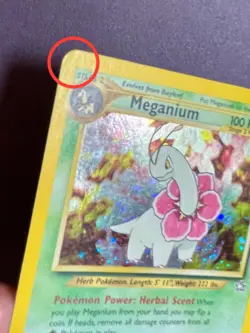 Meganium Holo 2000 Neo Genesis Set Pokemon Card 10/111 Raw MP - Image 5