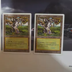 Pendelhaven x2 Legendary Land Cards Magic: The Gathering 1994 English Regular - Image 3