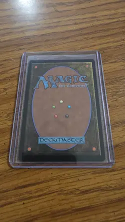 MTG ATLA Appa, Steadfast Guardian (Borderless) 0316 - Image 2