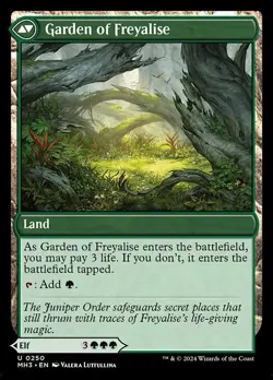 Disciple of Freyalise // Garden of Freyalise (250) - Modern Horizons 3 (MH3) NM - Image 2