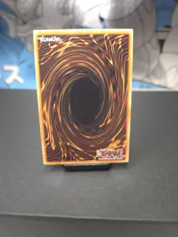 Yu-Gi-Oh-DOOD EN055- Black Rose Garden - Ultra Rare 1st Edition NM - Image 4