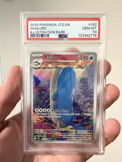 Pokemon TCG 2025 Journey Together Wailord 162/159 IR Holo PSA 10 EN - Image 4