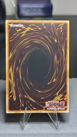 YuGiOh! Phara the Primordial Goddess (Extended Art) CORI-EN022 1st Edition NM - Image 2