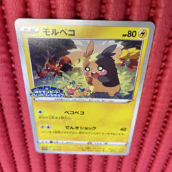 Morpeko 137/S-P Friendly Shop PROMO - Pokemon Card Japanese k867 - Image 1