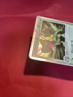 Sceptile 006/080 EX Magma VS Aqua Holo Pokemon Card Japanese k417 - Image 4