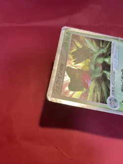 Sceptile 006/080 EX Magma VS Aqua Holo Pokemon Card Japanese k417 - Image 5