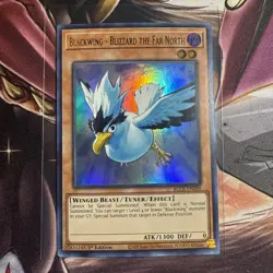 Yugioh! Blackwing - Blizzard the Far North - BLCR-EN059 - Ultra Rare - 1st Editi - Image 1