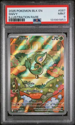 Snivy 087/086 Illustration Rare Black Bolt Pokemon PSA 9 - Image 1