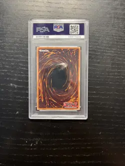Rainbow Neos PTDN-EN044 PSA 10 Ghost Rare - Image 2