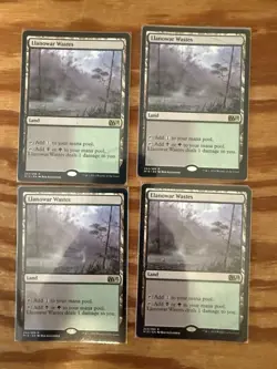 Magic The Gathering Rare & Foil Rare Land x24 Lot Various Sets - Image 3