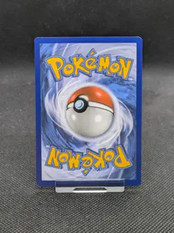 Pokemon Card M Pidgeot EX Holo XY Evolutions 65/108 - Image 3
