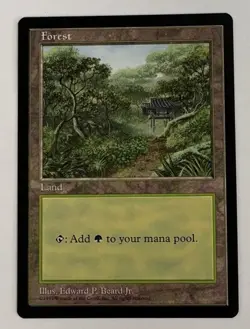 MTG Forest (APAC) (Clear) (Korea) NM Never Played - Image 1