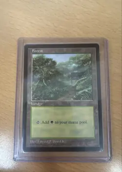 MTG Forest (APAC) (Clear) (Korea) NM Never Played - Image 3