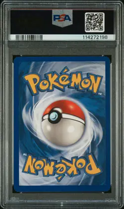 PSA 10 Squirtle #131 Eric Stuart Autograph 2002 Pokemon Expedition 114272198 - Image 2