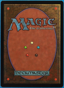 Forest (APAC a Japan Promo) NM MTG MAGIC CARD (506321) ABUGames - Image 2