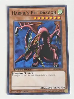 Yugioh Harpie's Pet Dragon - 1st Edition NM - Plus Free Holo Card - A - Image 1
