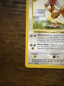 Pokemon TCG Pidgeotto Base Set 22/102 Regular Card, Shadowless - Image 4