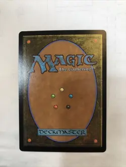 MTG - Wizard's Spellbook x1 - Adventures in the Forgotten Realms - NM/M - Image 2