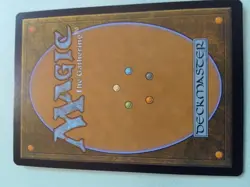 1x Overgrown Tomb - Lorwyn Eclipsed - NM - MTG - Image 3