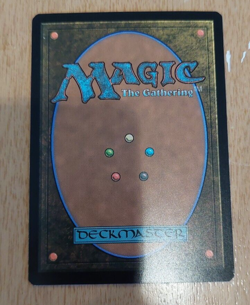 Plains (273) Foil Lord of the Rings Land Magic the Gathering card - Image 3