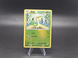 Snivy 1/114 Black & White - 2011 Pokemon TCG Card - Reverse Holo - Image 2
