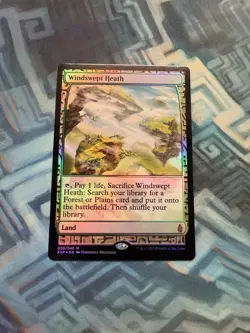 MTG Foil Windswept Heath EX/LP- Zendikar Expeditions - Image 1