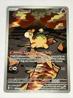 Numel 223/217 Illustration Rare Ascended Heroes Near Mint - Image 1