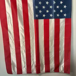 American Flag And 4 Delta Series Pokemon Cards - Image 5