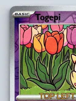 Basic Togepi HP 50 Whiny Voice Rolling Tackle Rare Purple Card Design - Image 3