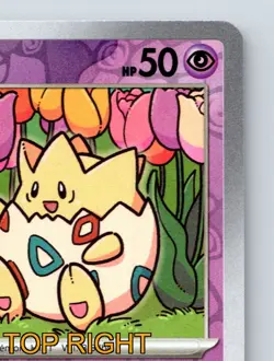 Basic Togepi HP 50 Whiny Voice Rolling Tackle Rare Purple Card Design - Image 4