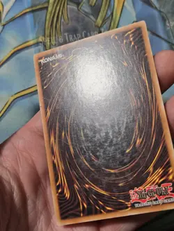 YUGIOH - AMAZON OF THE SEAS - CP05-EN012 - UNLIMITED - COMMON - TCG YGO LP - Image 4