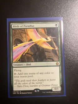 Birds of Paradise Conspiracy: Take the Crown Regular - Image 1