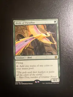Birds of Paradise Conspiracy: Take the Crown Regular - Image 2