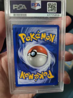 Pokemon Meganium 10/111 Neo Genesis Holo 1st Edition Psa 8 - Image 2