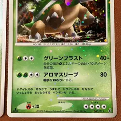 Torterra DPBP#450 2006 003/013 2008 Holo Pokemon TCG Japanese card JP5102 - Image 5
