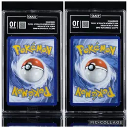 Pokemon Graded TAG Gem Mint 10 Lot-Reshiram ex & Zekrom ex 166/086 SAR English - Image 4