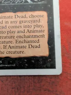 Animate Dead MTG Core Set 5th Edition Regular - Image 3