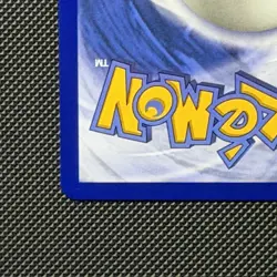 Mega Emboar ex - 273/217 - Ascended Heroes - SIR - Pokemon Card - NM - Image 3