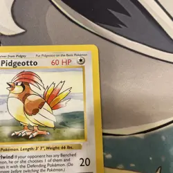 Pidgeotto - 22/102 - Base Set Rare - Shadowless - WOTC Pokemon TCG 1999 - LP+ - Image 5
