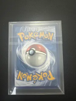 Pokemon TCG Koraidon EX Scarlet & Violet Special Illustration Rare Card 247/198 - Image 2