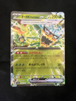 Teal Mask Ogerpon ex 020/187 sv8a Terastal Festival Japanese Pokemon Card - Image 1