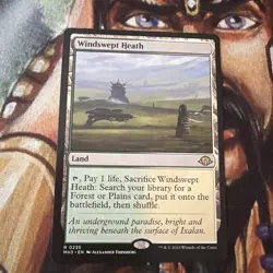 Magic The Gathering: Windswept Heath - MH3 #0466 MTG - Image 1