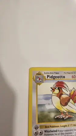 Pokemon TCG Pidgeotto 1st Edition Base Set Shadowless Non-Holo Card 22/102 LP/MP - Image 2