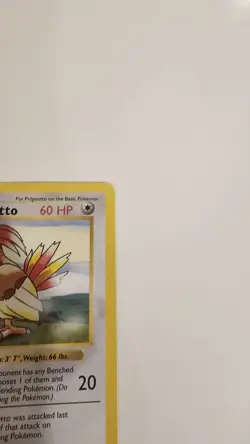 Pokemon TCG Pidgeotto 1st Edition Base Set Shadowless Non-Holo Card 22/102 LP/MP - Image 3