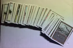 MTG total of 150 3rd Ed (Revised) basic lands 10 each of 15 art types LP/MP 1994 - Image 1