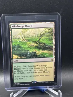 Windswept Heath #248 - Khans of Tarkir KTK Magic MTG NM - Image 1