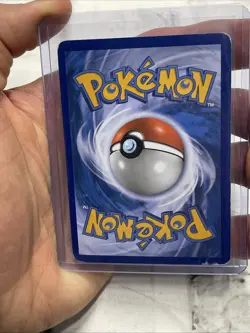 Minccino RC18/RC25 Legendary Treasures: Radiant Collection Pokemon TCG MP+ Card - Image 3